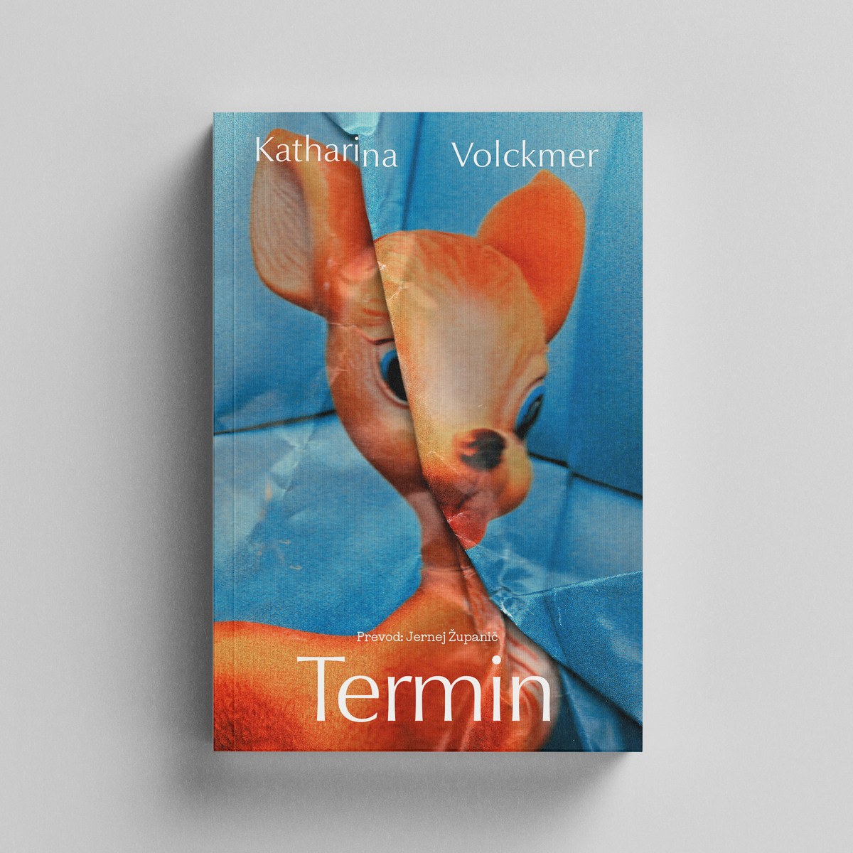 Katharina Volckmer: Termin